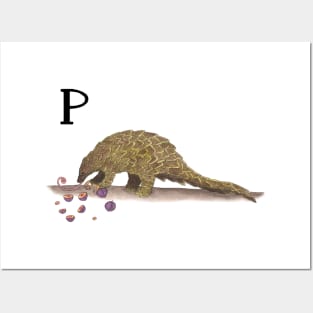 P is for Pangolin Posters and Art